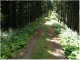 Ljubno ob Savinji - Planina Mali Travnik